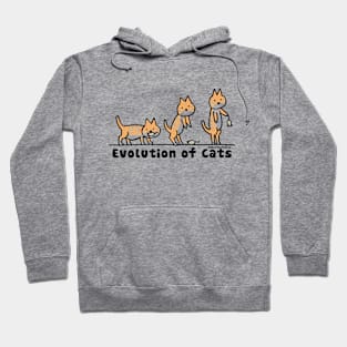 Evolution of Cats 1 by © Buck Tee Originals Hoodie